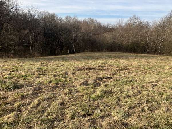 3 Diana Ridge RD, Pulaski, TN 38478