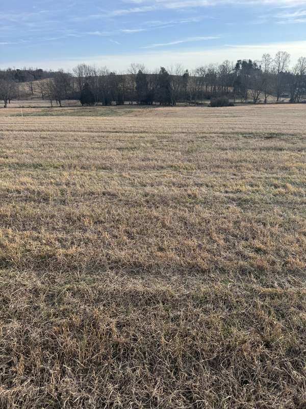 20 Clay County Hwy, Moss, TN 38575