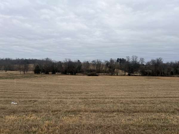 21 Clay County Hwy, Moss, TN 38575