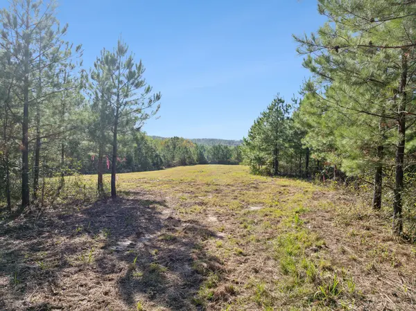 0 Cox Hollow, Dover, TN 37058