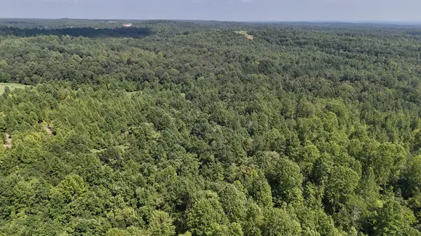 0 Freedom Ridge, Indian Mound, TN 37079