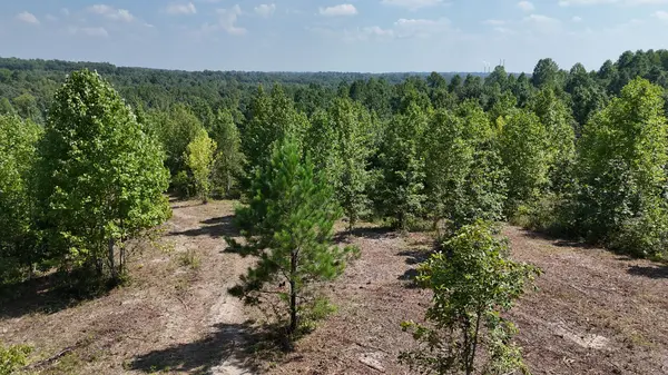 0 Freedom Ridge, Indian Mound, TN 37079
