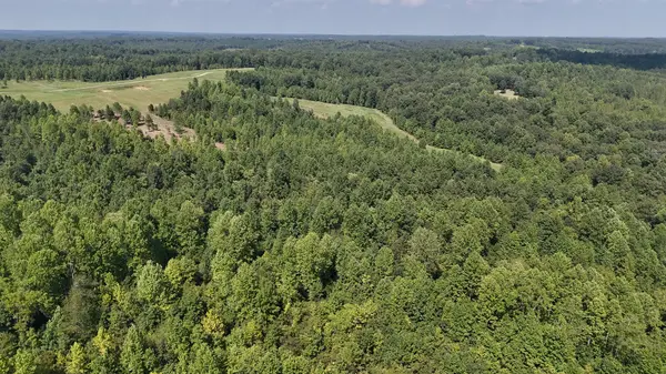 0 Freedom Ridge, Indian Mound, TN 37079