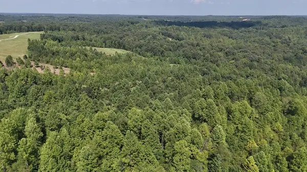 0 Freedom Ridge, Indian Mound, TN 37079