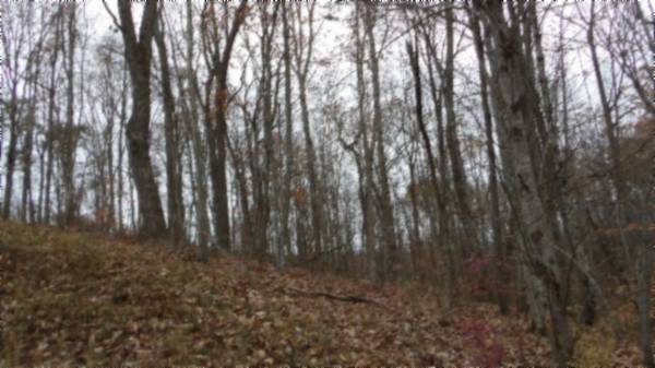 0 Cumberland Cove Rd, Monterey, TN 38574