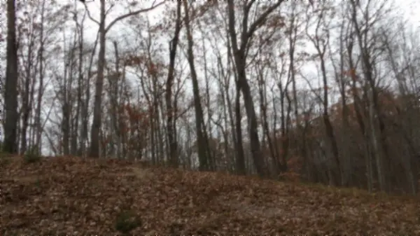0 Cumberland Cove Rd, Monterey, TN 38574