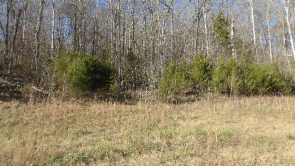 0 Cheyenne Drive, Jamestown, TN 38556