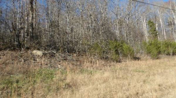 0 Cheyenne Drive, Jamestown, TN 38556