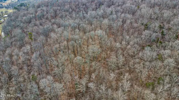 0 Shellotte Loop, Pall Mall, TN 38577