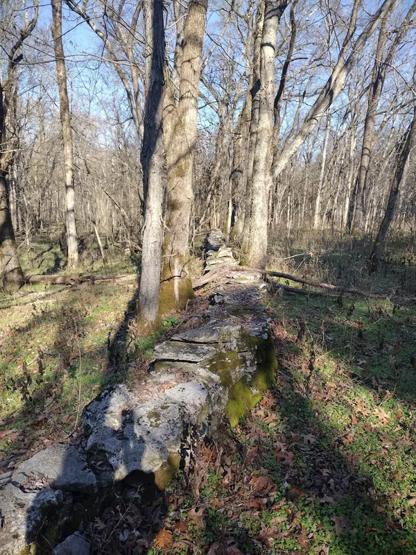 980 Baldy Ford Rd, Lascassas, TN 37085