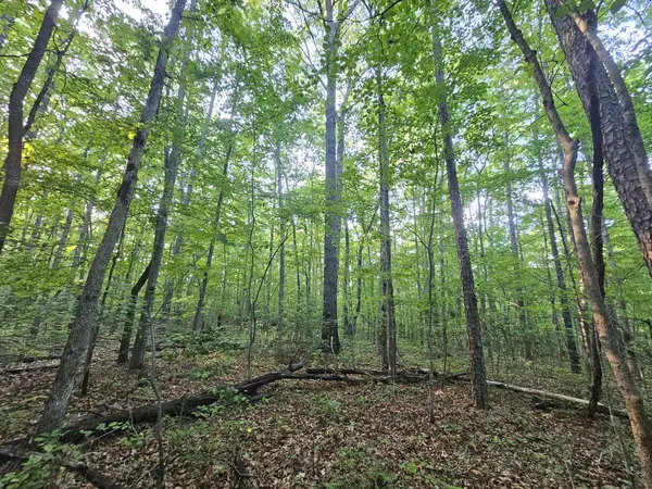 3 Savage Highland Drive, Coalmont, TN 37313