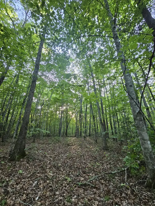 3 Savage Highland Drive, Coalmont, TN 37313