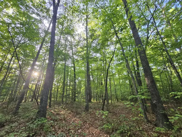 3 Woodfern Ln, Coalmont, TN 37313