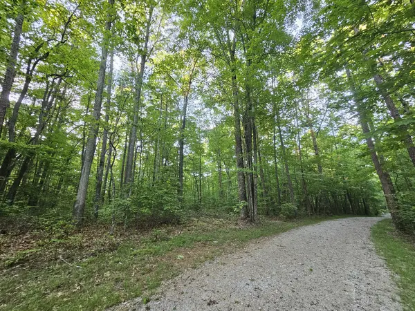 3 Woodfern Ln, Coalmont, TN 37313