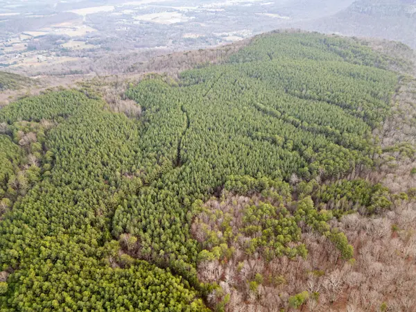 2900300 Smith Mountain, Dunlap, TN 37327