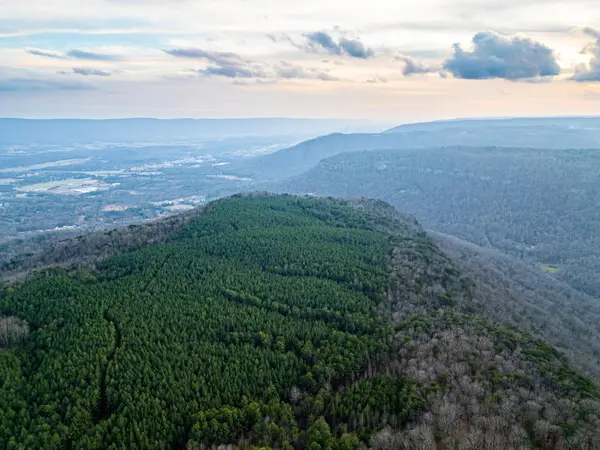 2900300 Smith Mountain, Dunlap, TN 37327