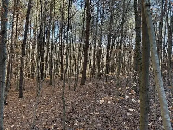 7 Hwy 11, Valley Head, AL 35989
