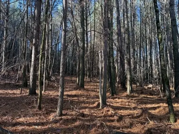 7 Hwy 11, Valley Head, AL 35989