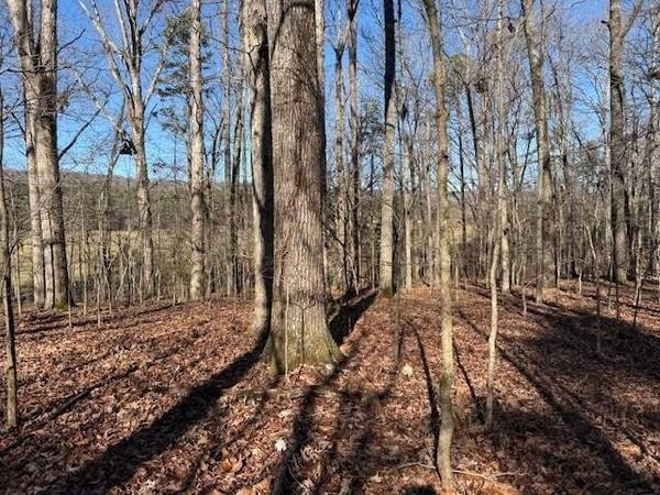 1 County Road 751, Valley Head, AL 35989