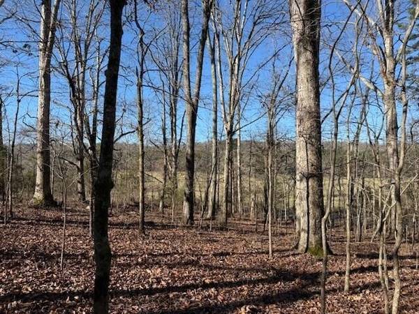 1 County Road 751, Valley Head, AL 35989
