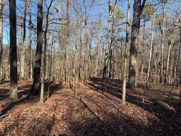 1 County Road 751, Valley Head, AL 35989