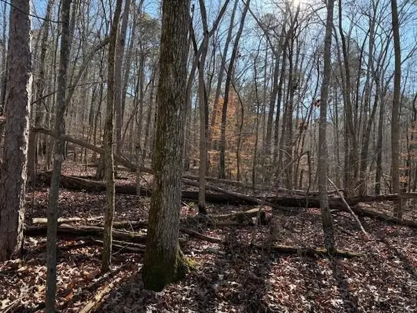 2 County Road 751, Valley Head, AL 35989