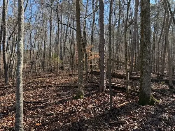 2 County Road 751, Valley Head, AL 35989