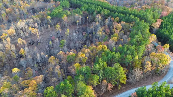 0 Sassafras Stand Ridge Rd, Linden, TN 37096
