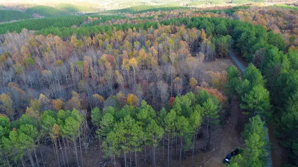 0 Sassafras Stand Ridge Rd, Linden, TN 37096