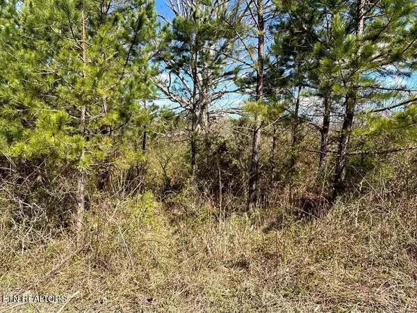 0 Holt Spur Drive, Jamestown, TN 38556