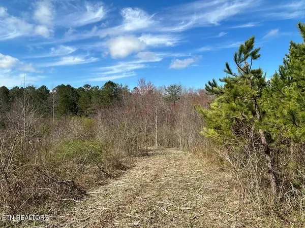 0 Holt Spur Drive, Jamestown, TN 38556
