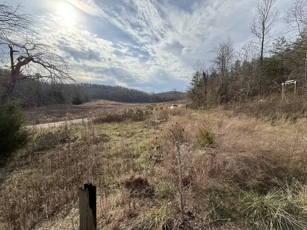 4819 Morrison Creek Rd, Clifton, TN 38425