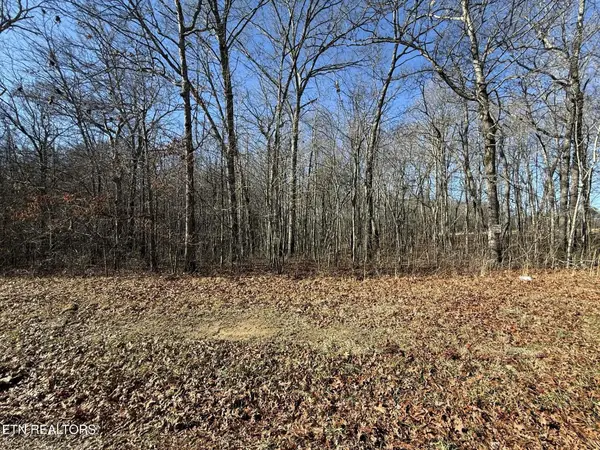 0 Georgee Road, Jamestown, TN 38556