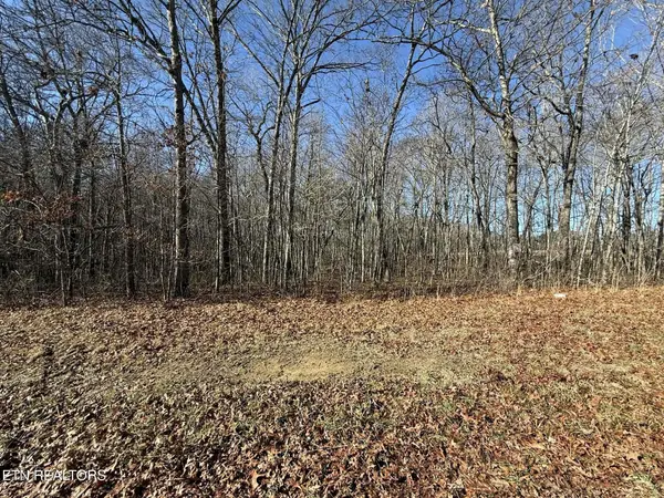 0 Georgee Road, Lot 14, Jamestown, TN 38556