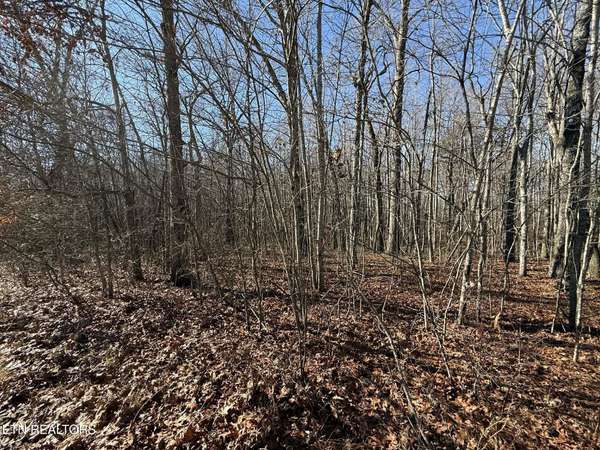 0 Georgee Road, Jamestown, TN 38556