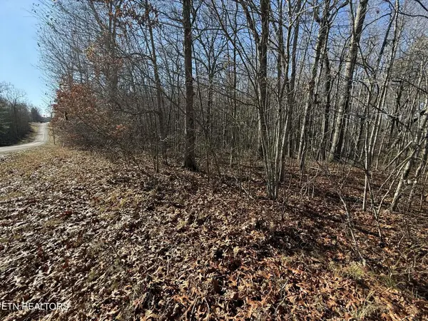 0 Georgee Road, Jamestown, TN 38556