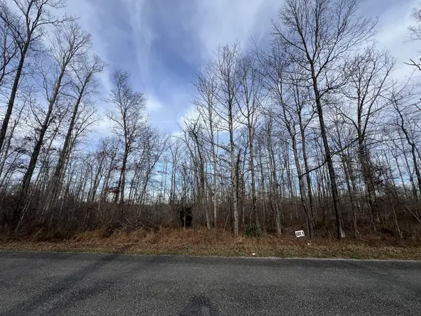 1 Slaughter Rd, Primm Springs, TN 38476