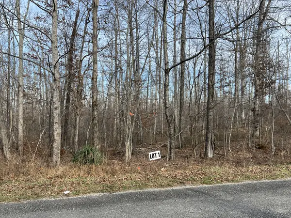 1 Slaughter Rd, Primm Springs, TN 38476