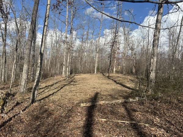 1 Slaughter Rd, Primm Springs, TN 38476