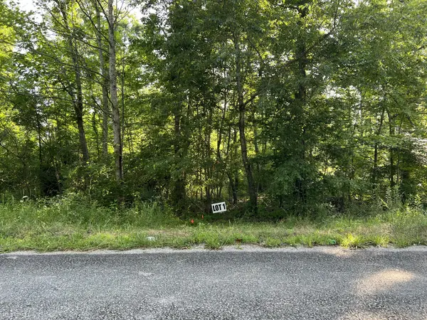 1 Slaughter Rd, Primm Springs, TN 38476