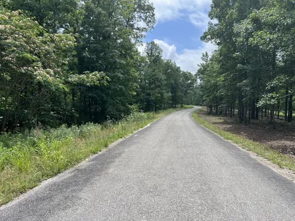 1 Slaughter Rd, Primm Springs, TN 38476