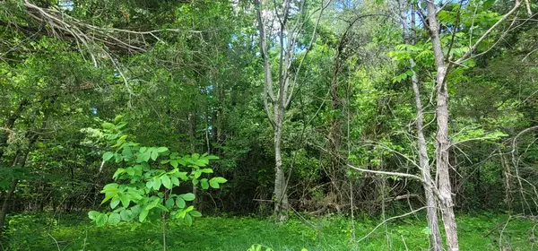 2323 College St, Spencer, TN 38585