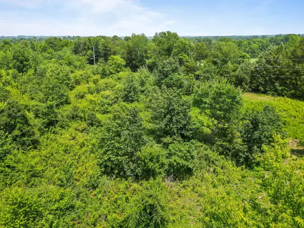 2719 Tom Austin Hwy, Springfield, TN 37172
