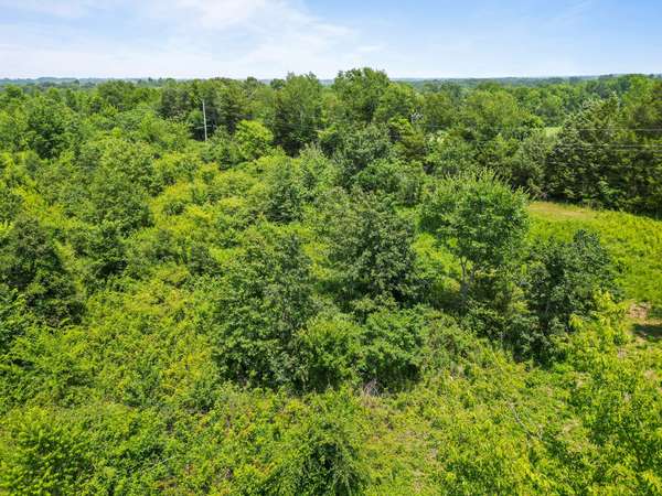 2719 Tom Austin Hwy, Springfield, TN 37172