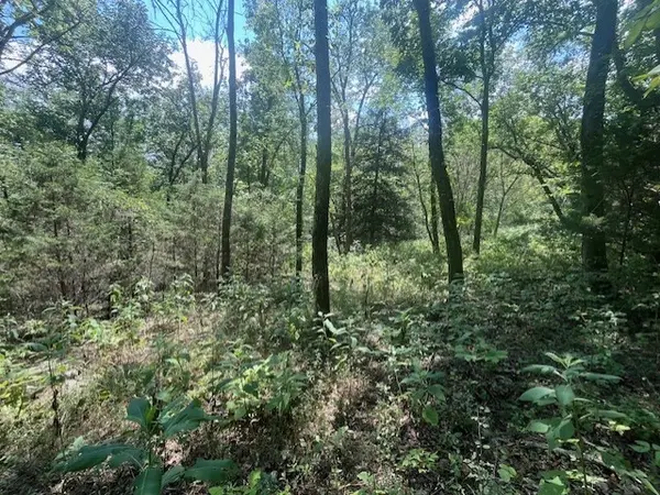 0 Maury Ln, Smithville, TN 37166