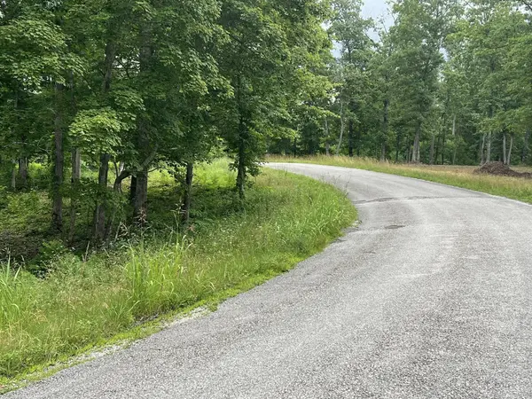 3 Slaughter Rd, Primm Springs, TN 38476