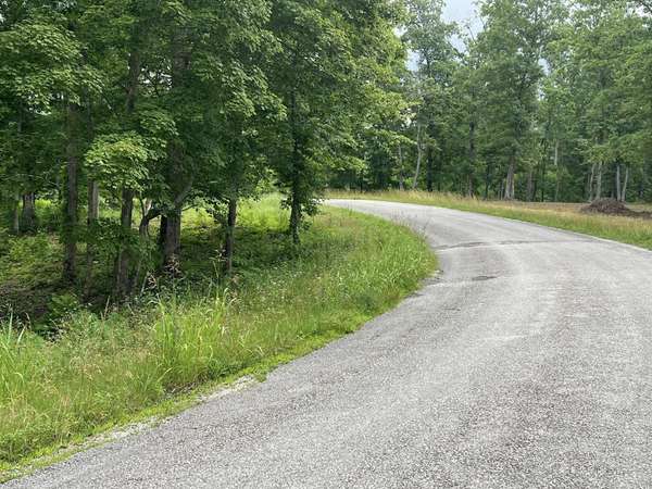 3 Slaughter Rd, Primm Springs, TN 38476