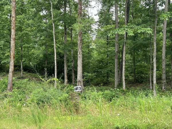 3 Slaughter Rd, Primm Springs, TN 38476