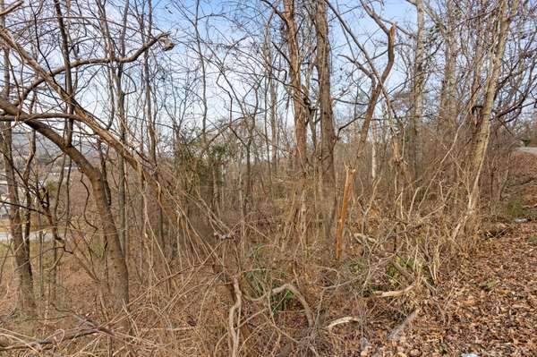 0 Orlando Dr, Red Bank, TN 37415