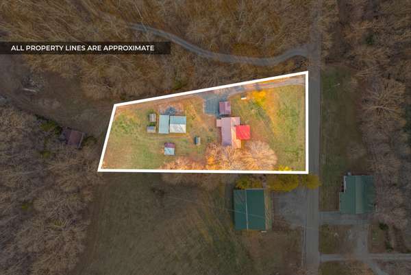1667 McWhorter Rd, Cunningham, TN 37052